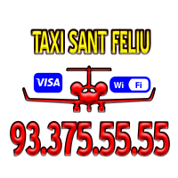 Servicio de taxi en Sant Feliu de Llobregat - Reserva online